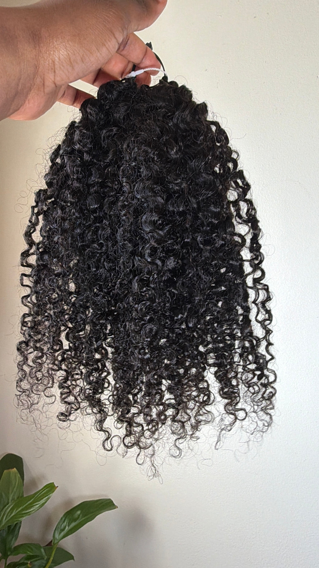 KINKY CURL• The Duo (Copy)