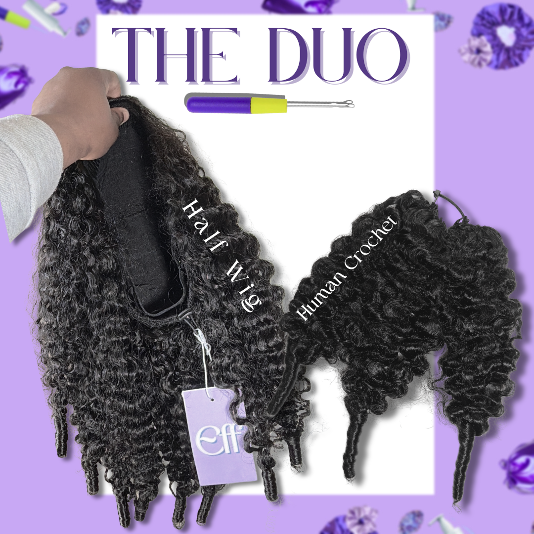 BURMESE CURL • The DUO