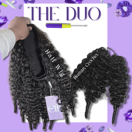 BURMESE CURL • The DUO
