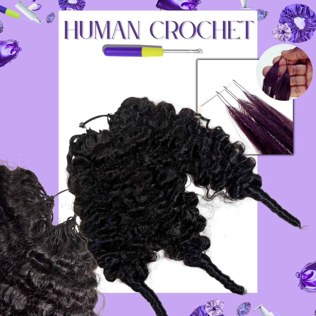 BURMESE CURL • The DUO