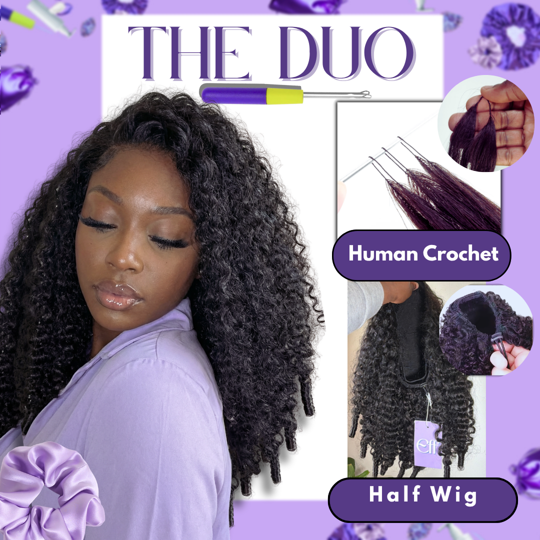 BURMESE CURL • The DUO