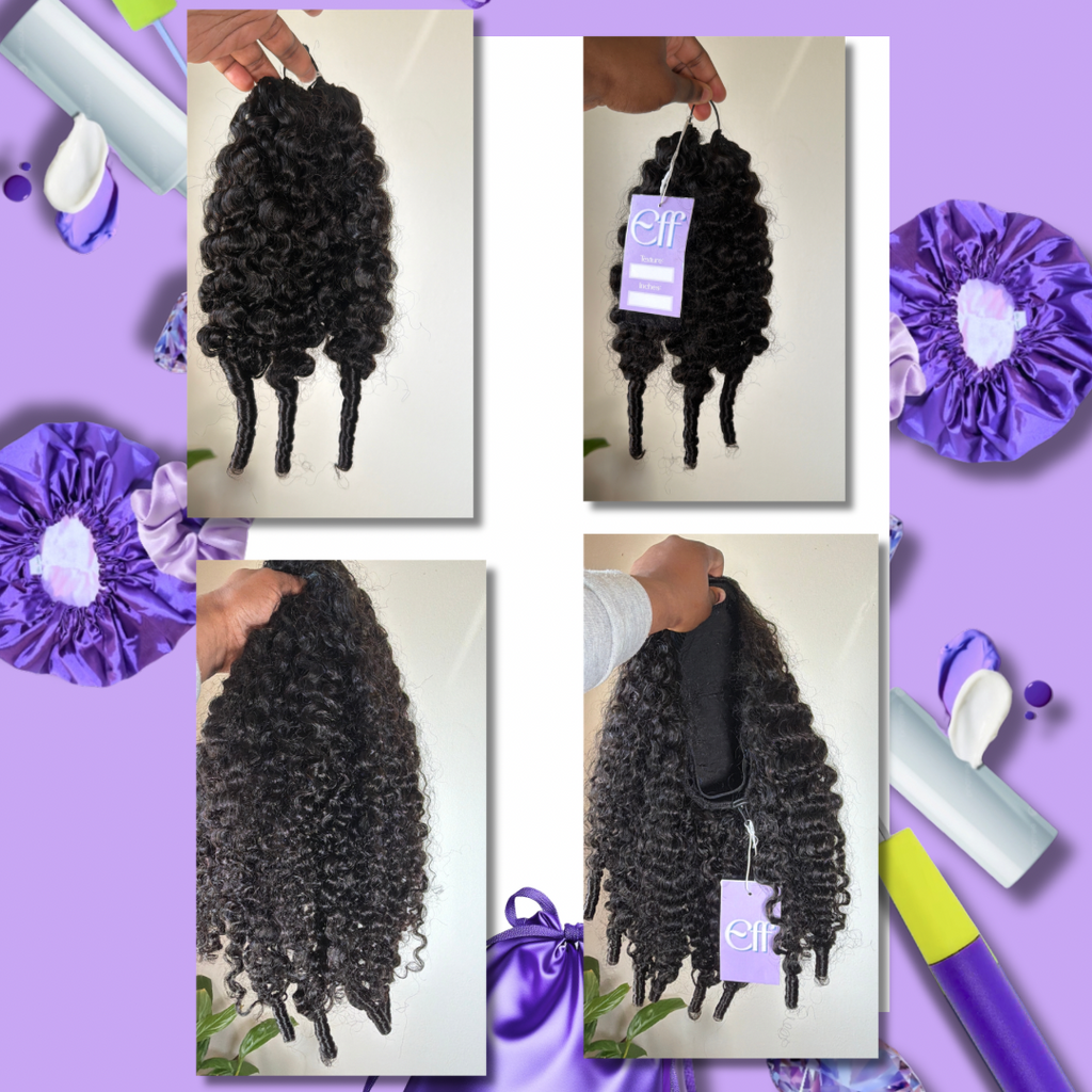 BURMESE CURL • The DUO